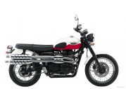 Triumph Scrambler